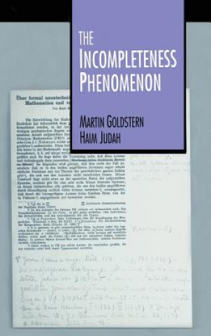 Knjiga Incompleteness Phenomenon Haim Judah