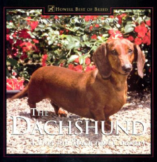 Knjiga Dachshund, The Ann Gordon