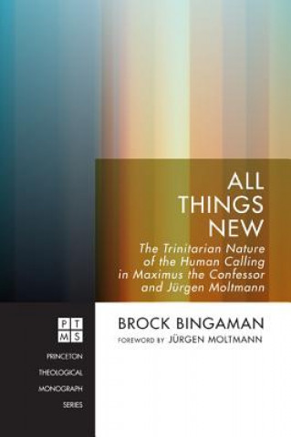 Kniha All Things New Assistant Professor of Religious Studies and Program Director Brock (Wesleyan College) Bingaman