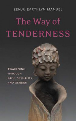 Kniha Way of Tenderness Zenju Earthlyn Manuel