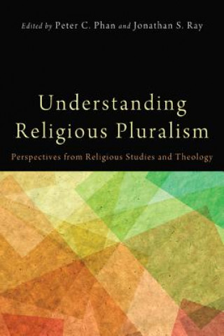 Книга Understanding Religious Pluralism Peter C. Phan