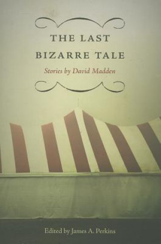 Kniha Last Bizarre Tale David Madden