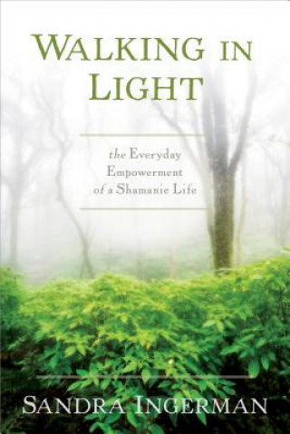 Kniha Walking in Light Sandra Ingerman