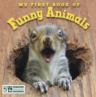 Book My First Book of Funny Animals (National Wildlife Federation) National Wildlife Federation