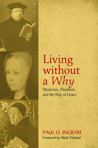 Livre Living Without a Why Professor Paul O (Pacific Lutheran University) Ingram