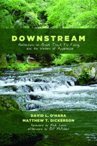 Book Downstream Matthew T Dickerson