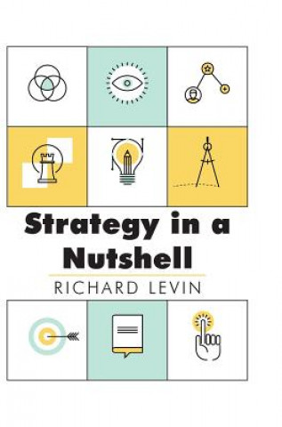 Kniha Strategy in a Nutshell Richard I Levin