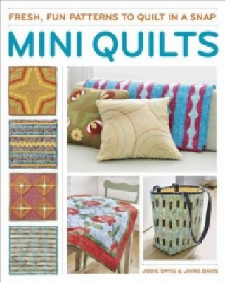 Könyv Fabulous Mini Quilts Jodie Davis