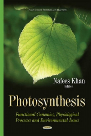 Carte Photosynthesis 