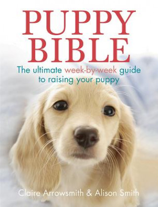 Kniha Puppy Bible SMITH  ALISON