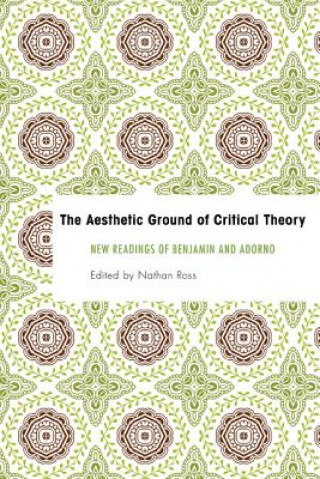 Kniha Aesthetic Ground of Critical Theory Nathan Ross