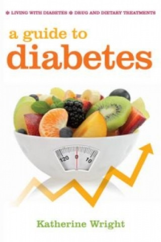 Kniha Guide to Diabetes Katherine Wright