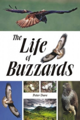 Livre Life of Buzzards Peter Dare