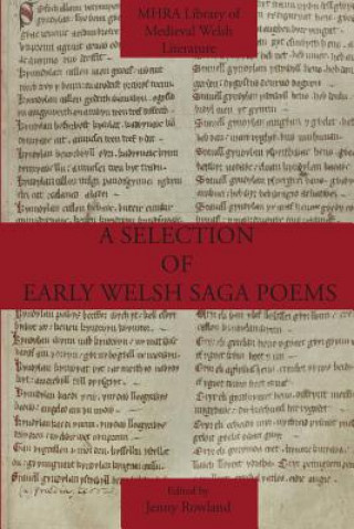 Carte Selection of Early Welsh Saga Poems Jenny Rowland