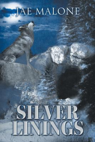 Buch Silver Linings Jae Malone