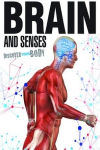 Kniha Brain and Senses Dr Jen Green