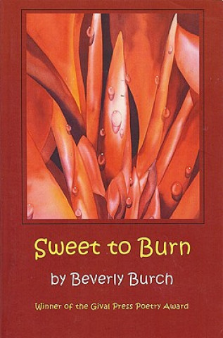 Książka Sweet to Burn Professor Beverly Burch