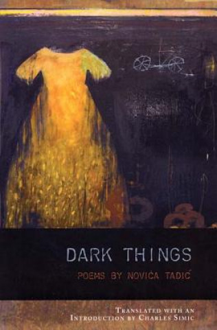 Knjiga Dark Things Novica Tadic