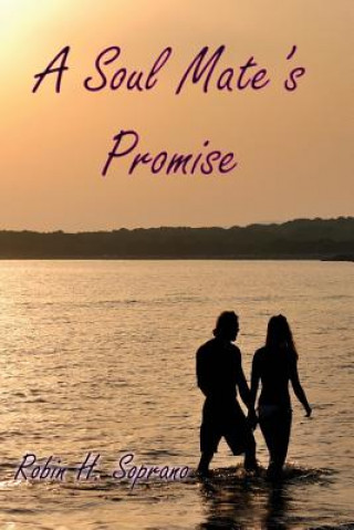 Könyv Soul Mate's Promise Robin H Soprano