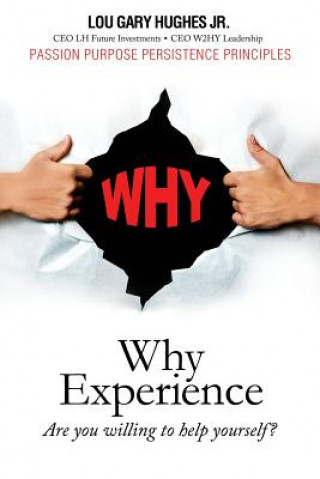 Livro Why Experience Lou Gary Hughes