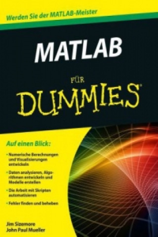 Kniha Matlab fur Dummies Jim Sizemore