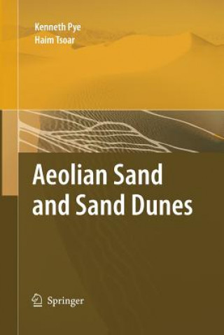 Book Aeolian Sand and Sand Dunes Kenneth Pye