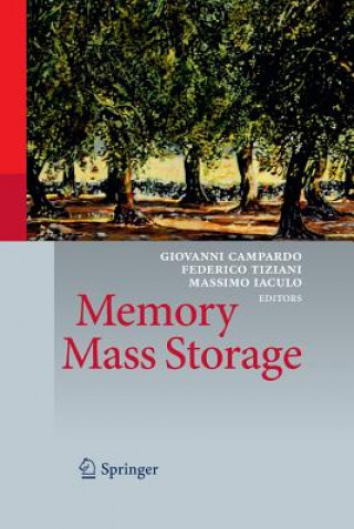 Buch Memory Mass Storage Giovanni Campardo