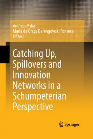 Kniha Catching Up, Spillovers and Innovation Networks in a Schumpeterian Perspective Maria Da Graça Derengowski Fonseca