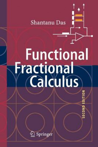 Książka Functional Fractional Calculus Das