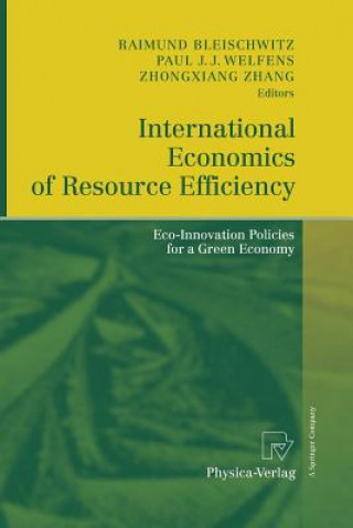 Kniha International Economics of Resource Efficiency RAIMUND BLEISCHWITZ