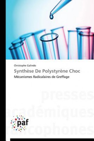 Kniha Synthese de Polystyrene Choc Galindo Christophe