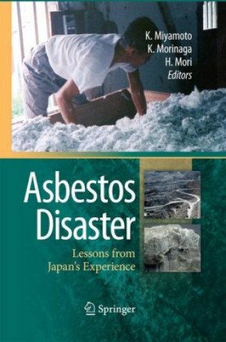 Buch Asbestos Disaster Mori Hiroyuki