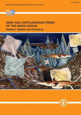 Kniha Deep-sea cartilaginous fishes of the Indian Ocean Food and Agriculture Organization of the United Nations