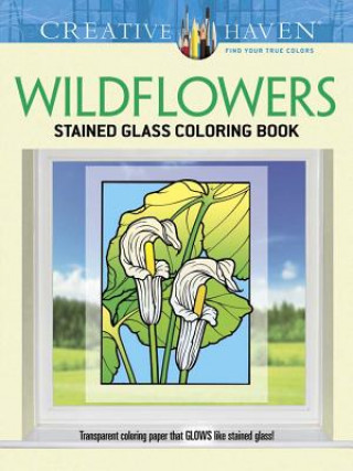 Carte Creative Haven Wildflowers Stained Glass Coloring Book John Green