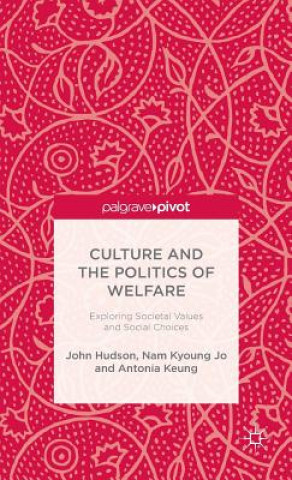 Könyv Culture and the Politics of Welfare John Hudson