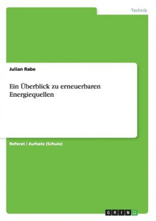 Kniha UEberblick zu erneuerbaren Energiequellen Julian Rabe