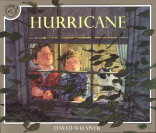 Kniha Hurricane David Wiesner
