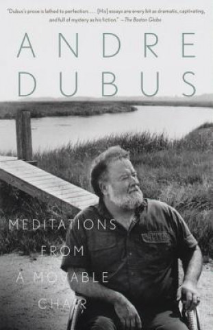 Kniha Meditations from a Movable Chair Andre Dubus