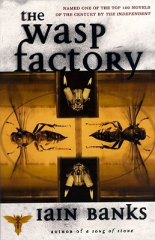 Książka Wasp Factory Iain Banks