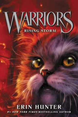 Könyv Warriors #4: Rising Storm Erin Hunter