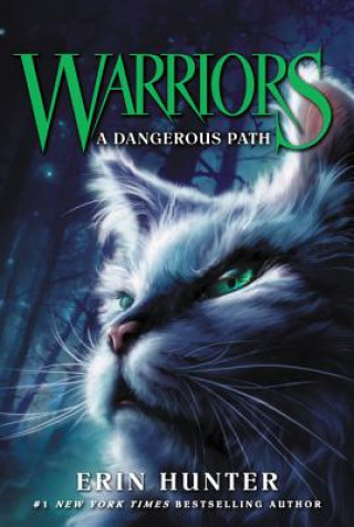 Könyv Warriors 5: A Dangerous Path Erin Hunter