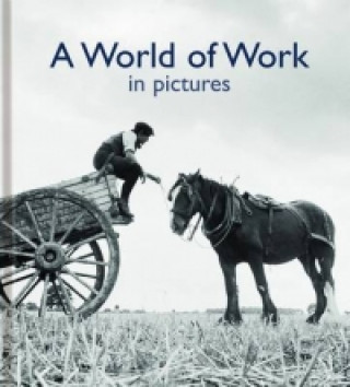 Book World of Work in Pictures Helen Bate