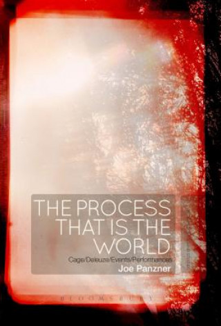 Buch Process That Is the World Joe Panzner