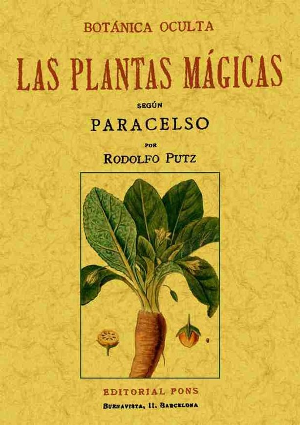 Kniha Botánica Oculta Las Plantas Mágicas Segu 