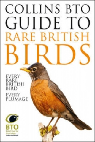 Carte Collins BTO Guide to Rare British Birds Paul Stancliffe