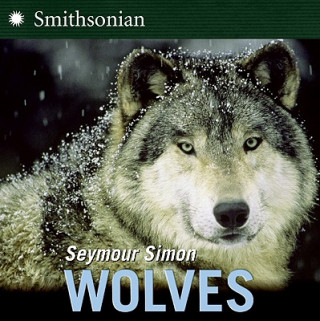 Książka Wolves Seymour Simon