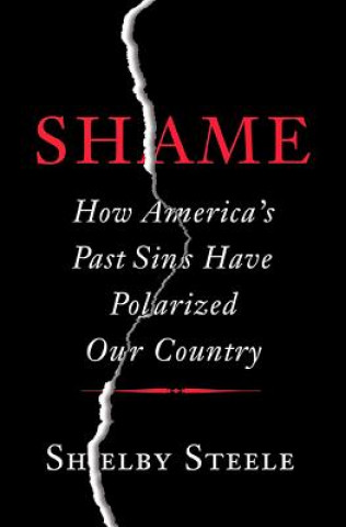 Buch Shame SHELBY STEELE