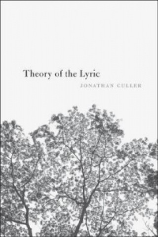Könyv Theory of the Lyric Jonathan Culler