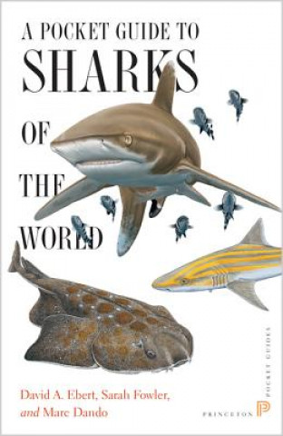 Carte Pocket Guide to Sharks of the World David A. Ebert