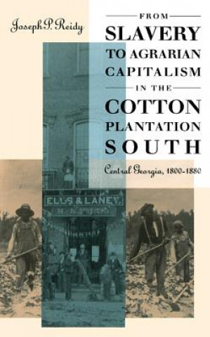 Kniha From Slavery to Agrarian Capitalism in the Cotton Plantation South Joseph P. Reidy